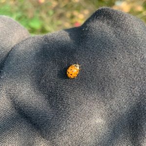 Meet your Posher, Hannah